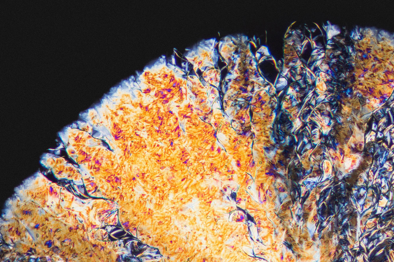 Illustration for article titled Narcotics and Medicines Look Beautiful Under a Microscope